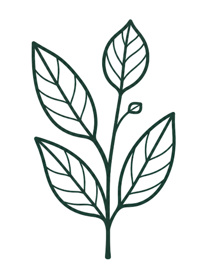 Botanik Bahçesi Flora