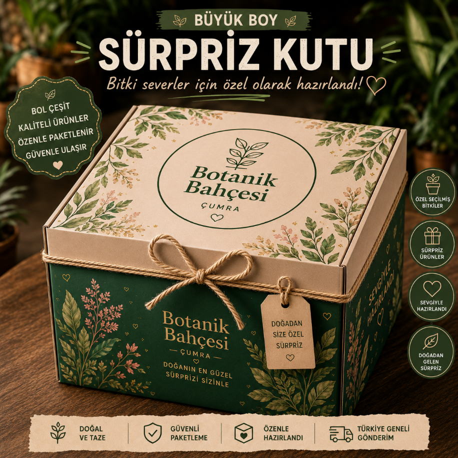 Büyük Boy Süpriz Kutu