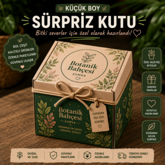Küçük Boy Süpriz Kutu - görsel 2