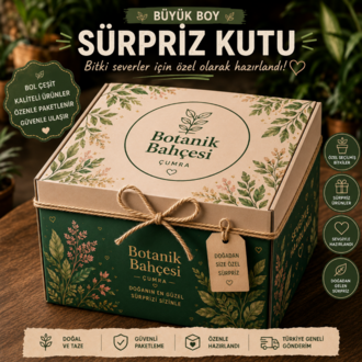 Büyük Boy Süpriz Kutu - görsel 2